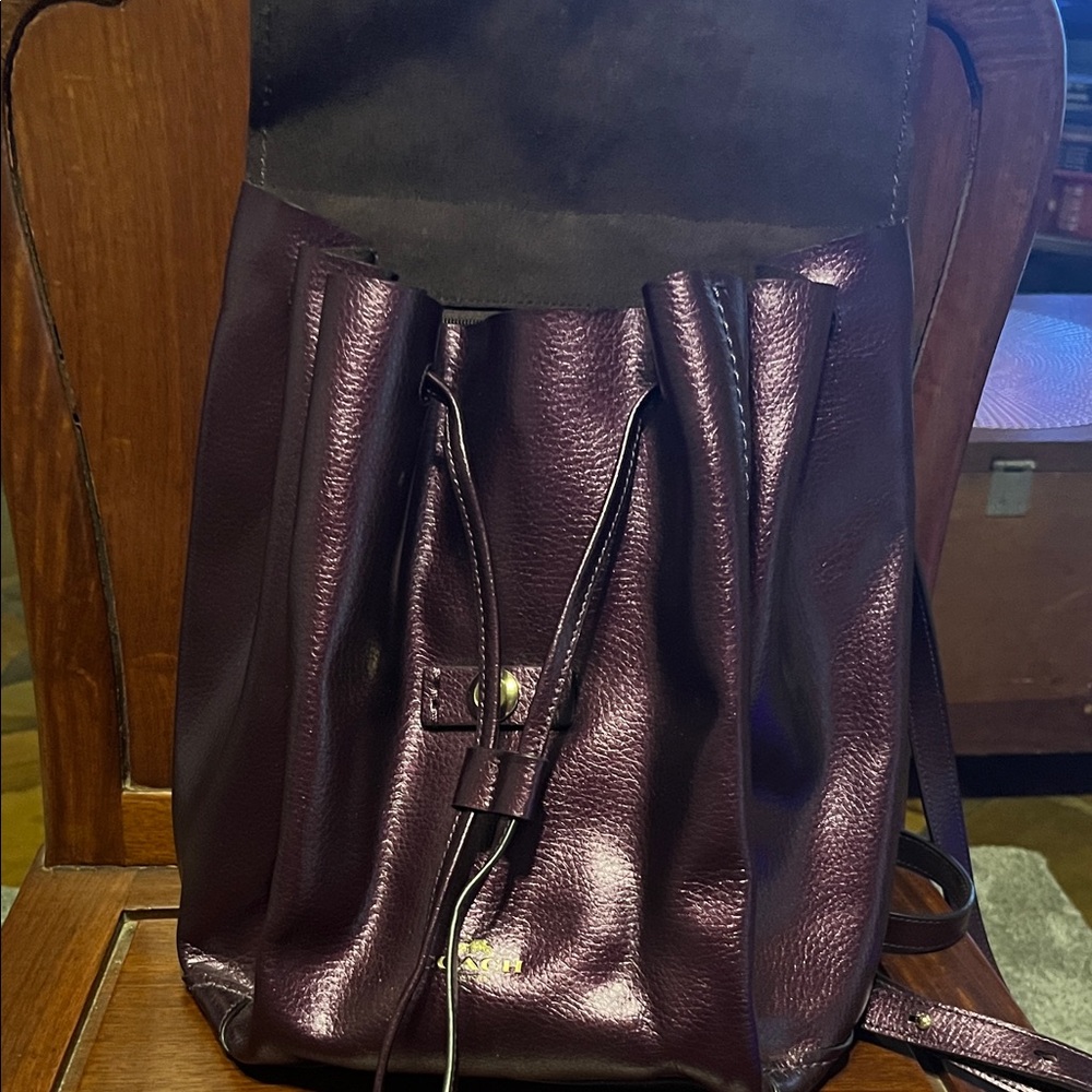Coach Metallic Plum Backpack - Picture 3 of 9
